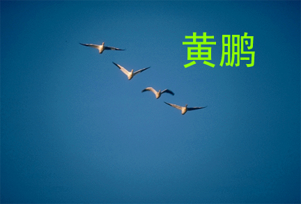 <em>尹姓</em>男孩<em>起名</em>_<em>尹姓女孩起名</em>_名字大全_尹姓起